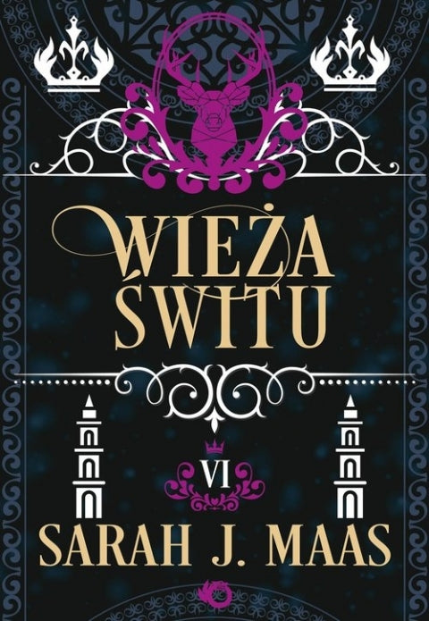 Szklany tron. Wieża świtu. Tom 6